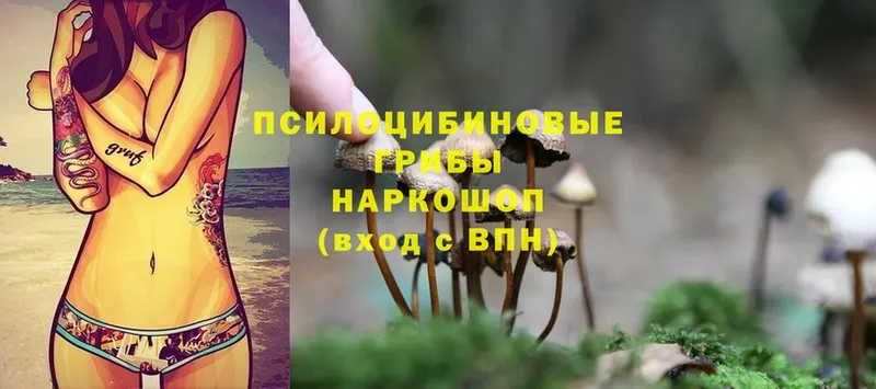 Псилоцибиновые грибы Cubensis  blacksprut ТОР  Электросталь 