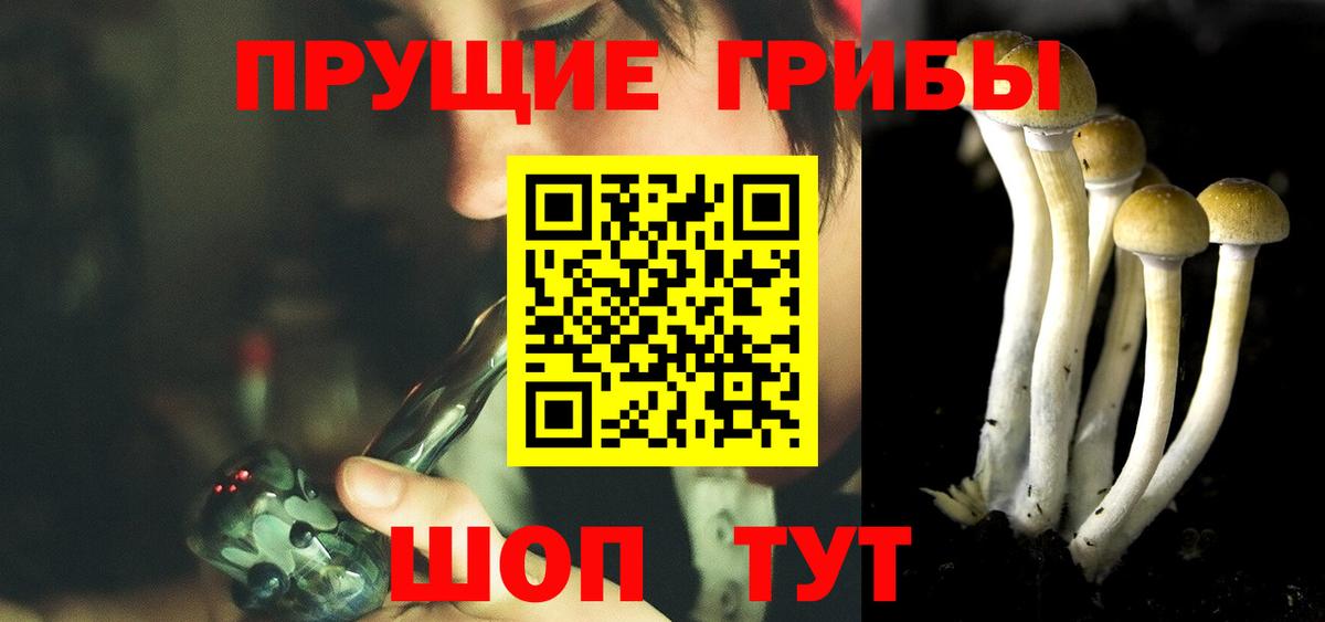Электросталь  Галлюциногенные грибы Cubensis  Вход с VPN 