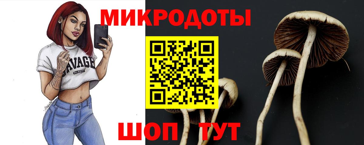 Галлюциногенные грибы MAGIC MUSHROOMS  Электросталь 