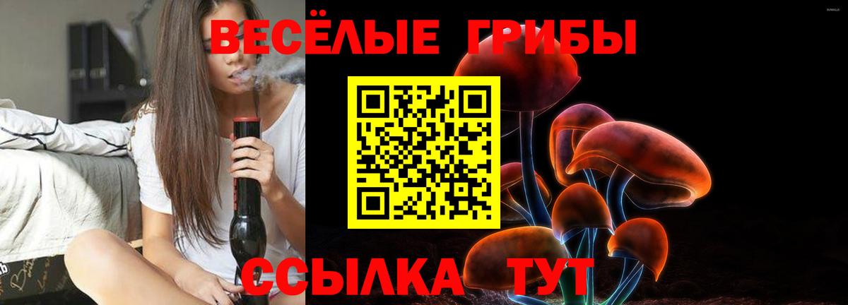 Псилоцибиновые грибы Magic Shrooms Электросталь