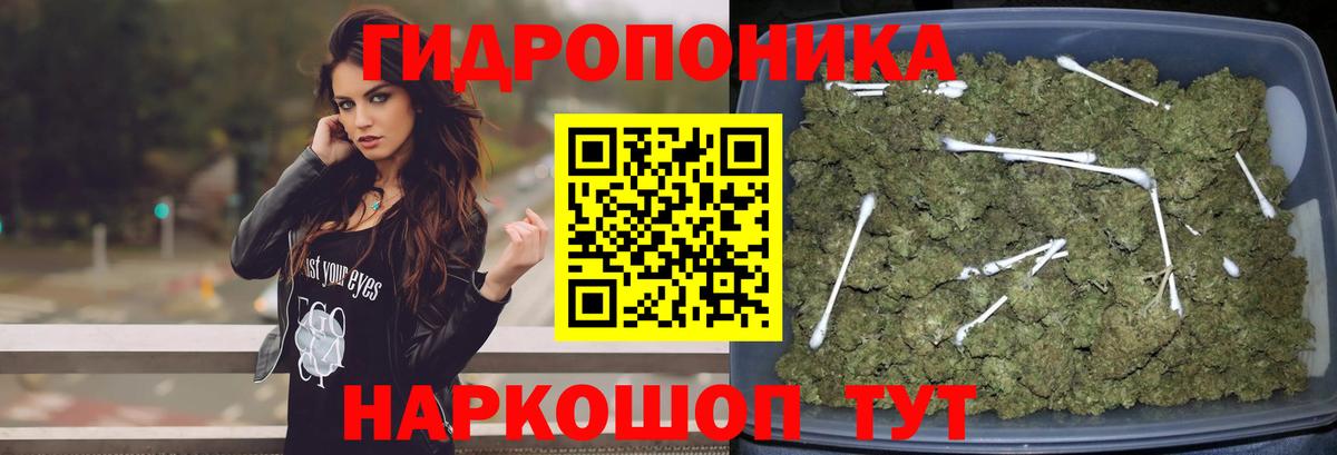 Канабис White Widow Электросталь